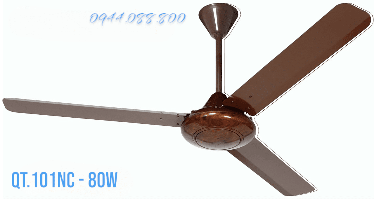 QT101NC-Photoroom